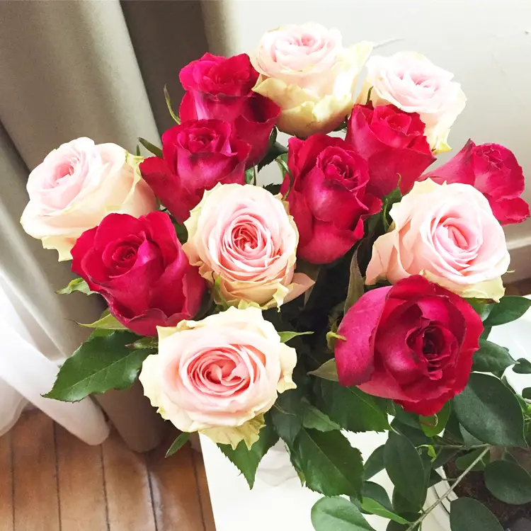 Quelle couleur de roses offrir à la Saint-Valentin ? - Les Bridgets