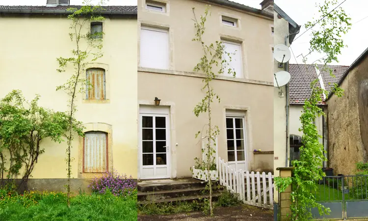 arbre les mais sur les maisons 1er mai