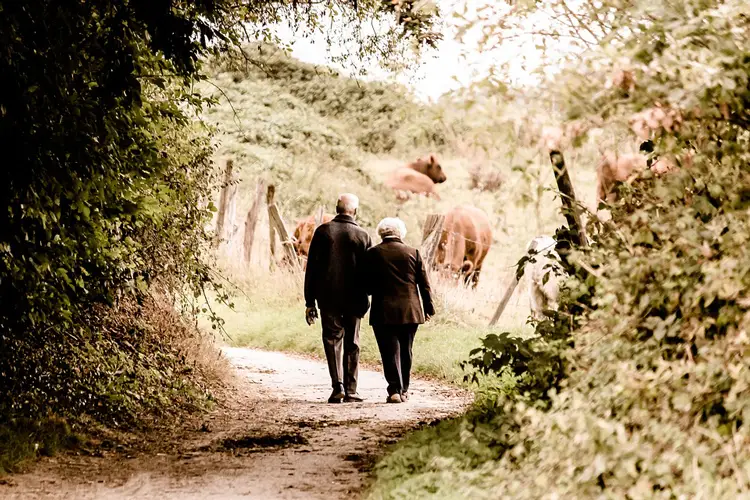 couple seniors se baladant main dans la main en forêt