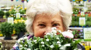 Top 5 des meilleurs bouquets à offrir à sa grand-mère