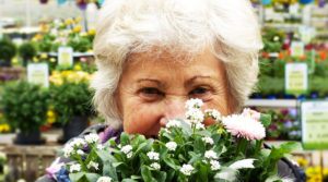 bouquet-fleurs-fete-grands-meres