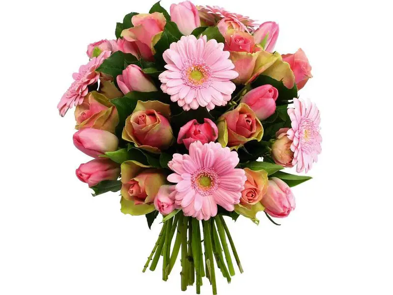 Top 5 des meilleurs bouquets à offrir à sa grand-mère - Les Bridgets