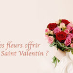 Quelles fleurs offrir pour la Saint Valentin ?